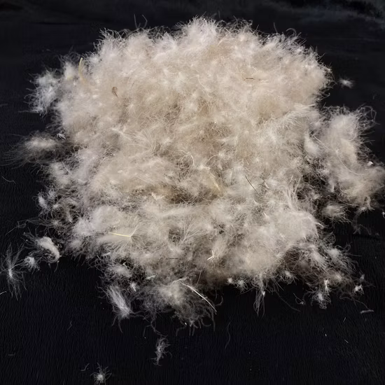 Oreiller de remplacement recyclé 800 rempli de puissance, 85 % de duvet de canard blanc lavé